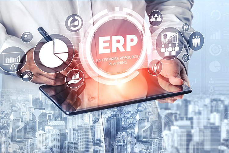 software integration services for your business