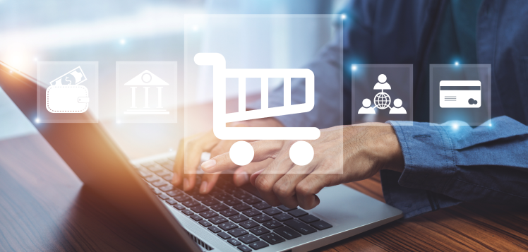 develop web application 2023